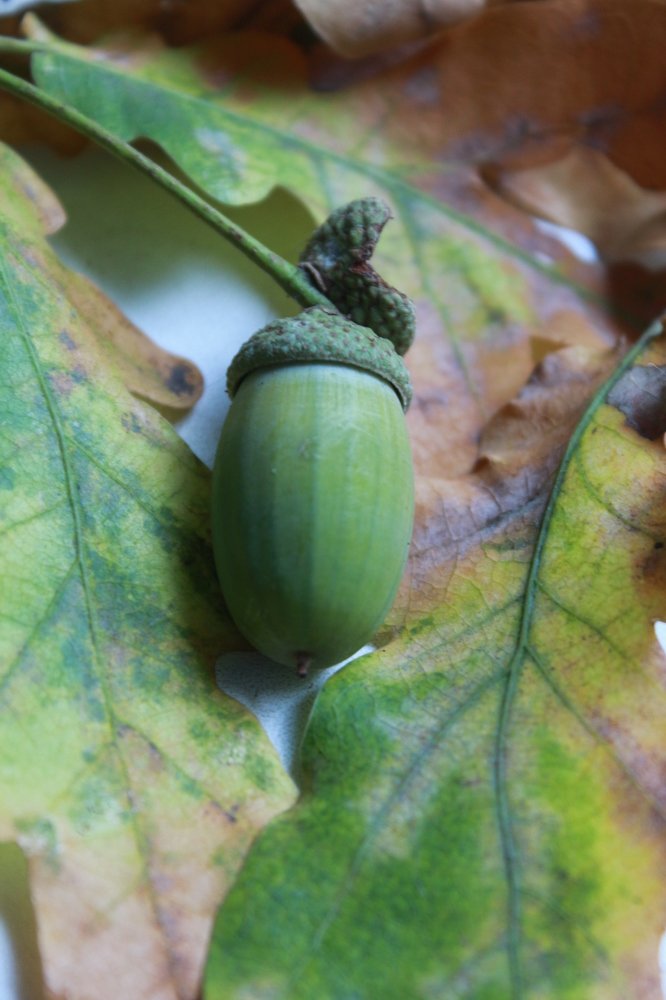 Photograph by Василий