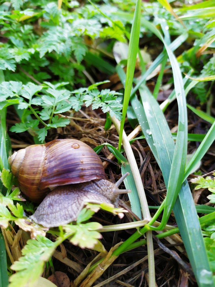 Photograph by Алла Осипенко