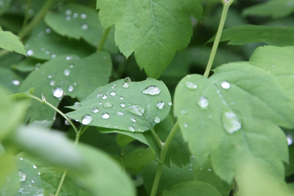 Photograph by Василий