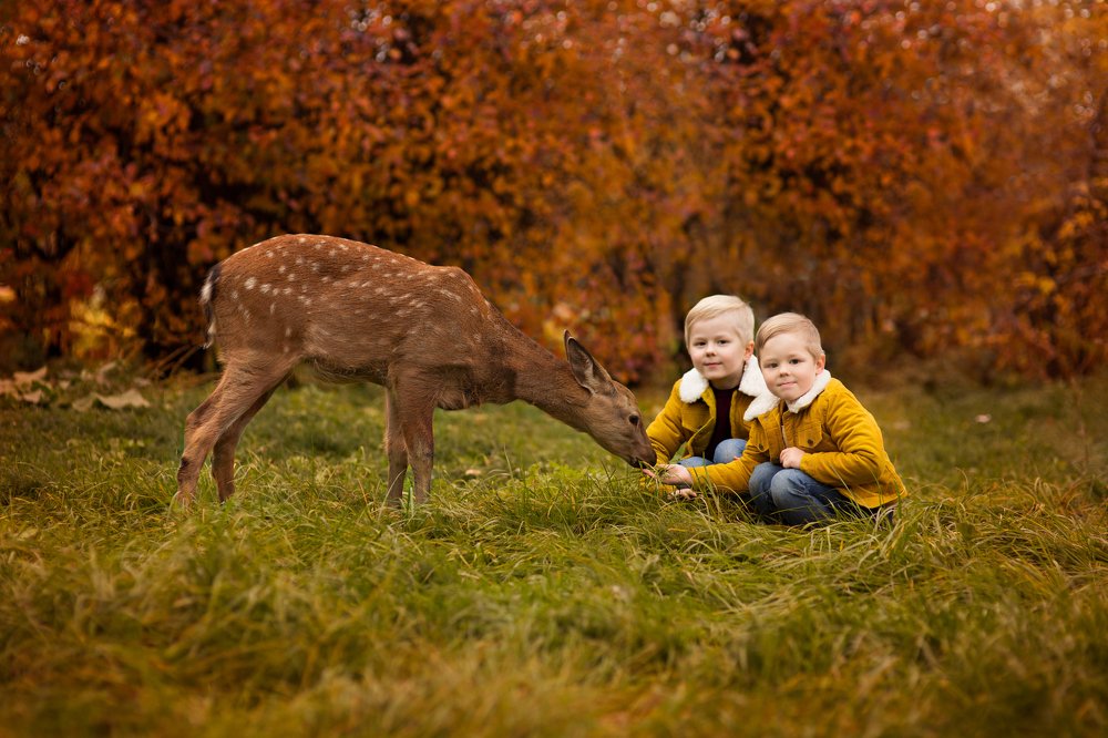 Photograph by Алена Федосова