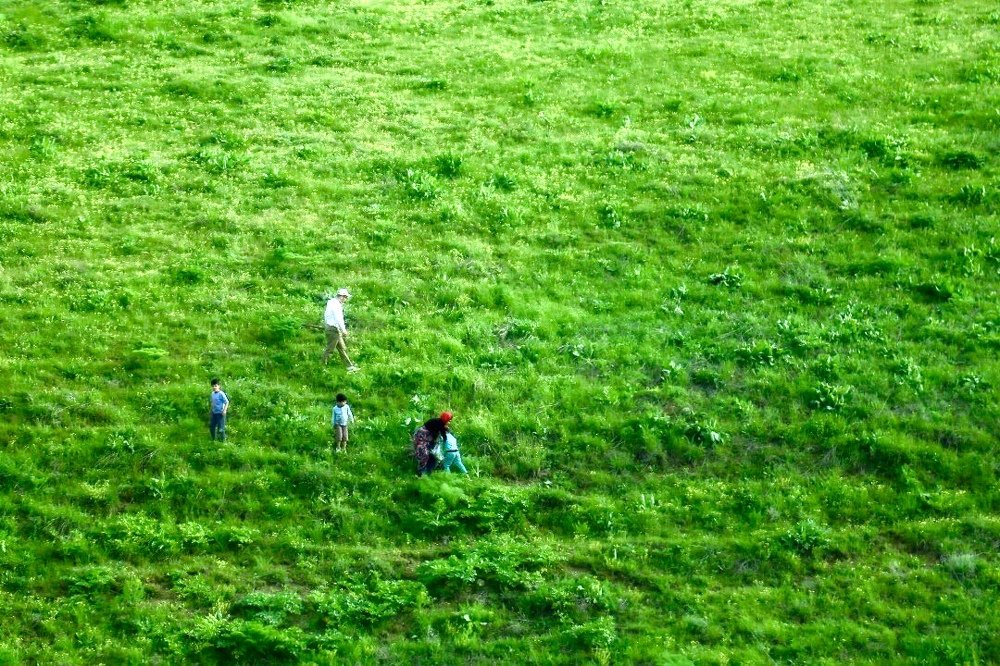 Photograph by Chia Hasankhali