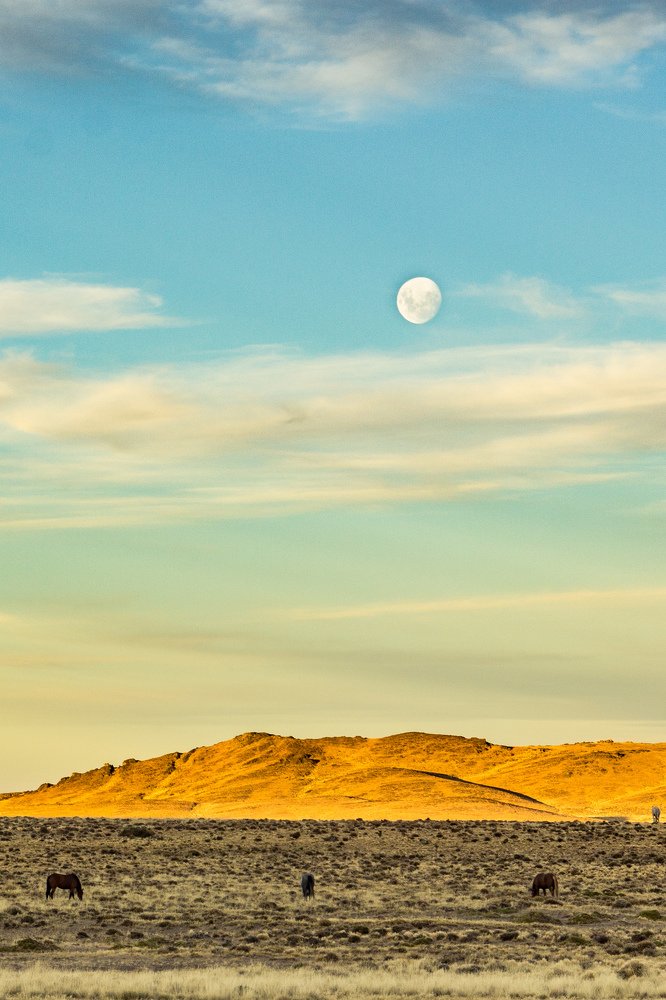 Photograph by César Girolimini