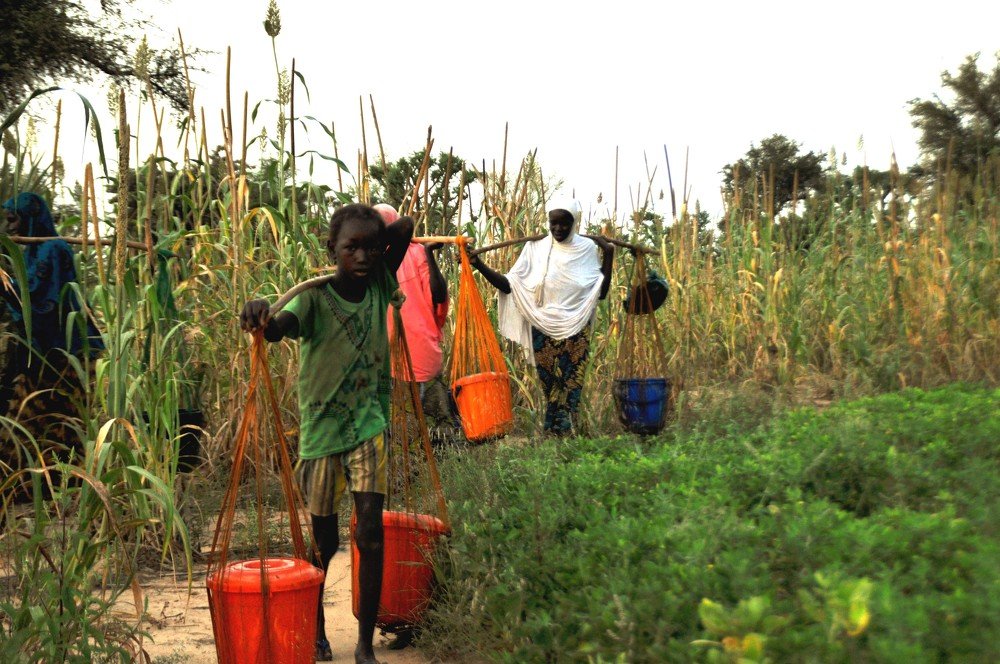 Photograph by Hama Mounkaila