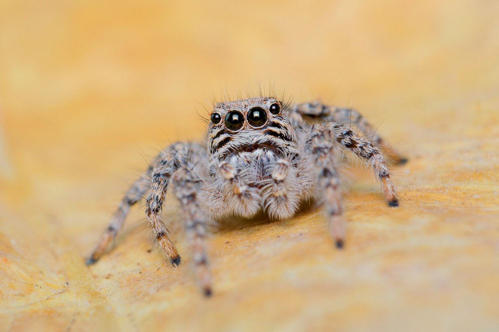 Photograph by Mahdi Sarikhani