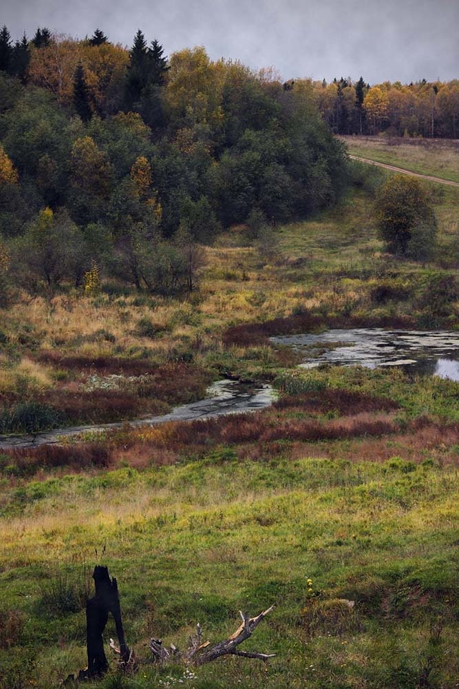 Фотография автора Люкманова Наталия