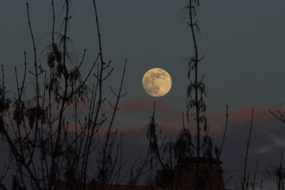 Photograph by Елена Аксенова