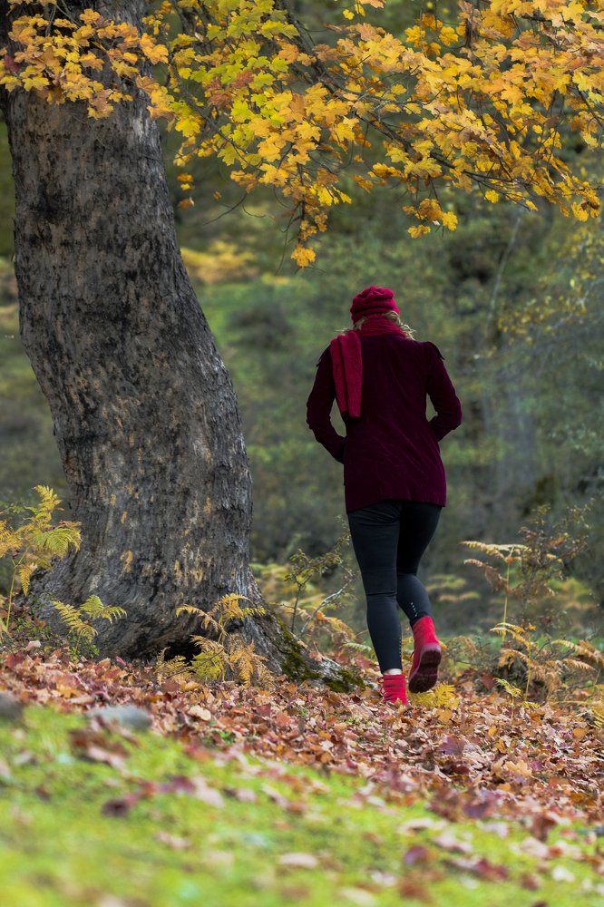 Photograph by Mohammad Nazari