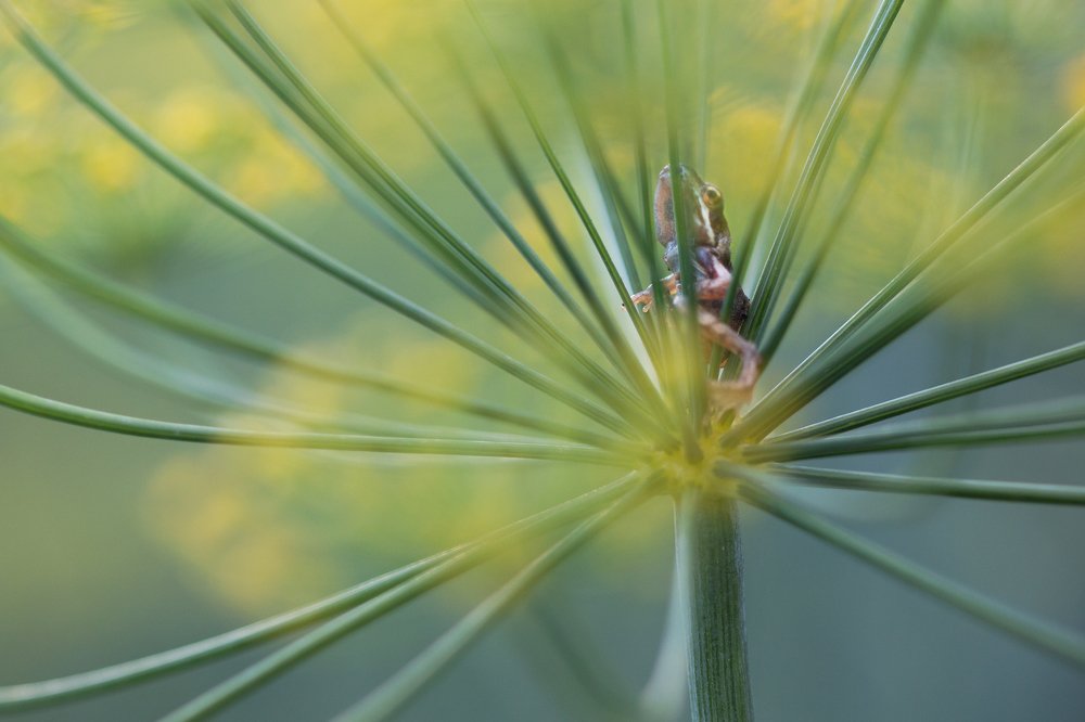 Photograph by Людмила Гудина