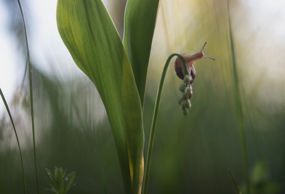 Photograph by Людмила Гудина