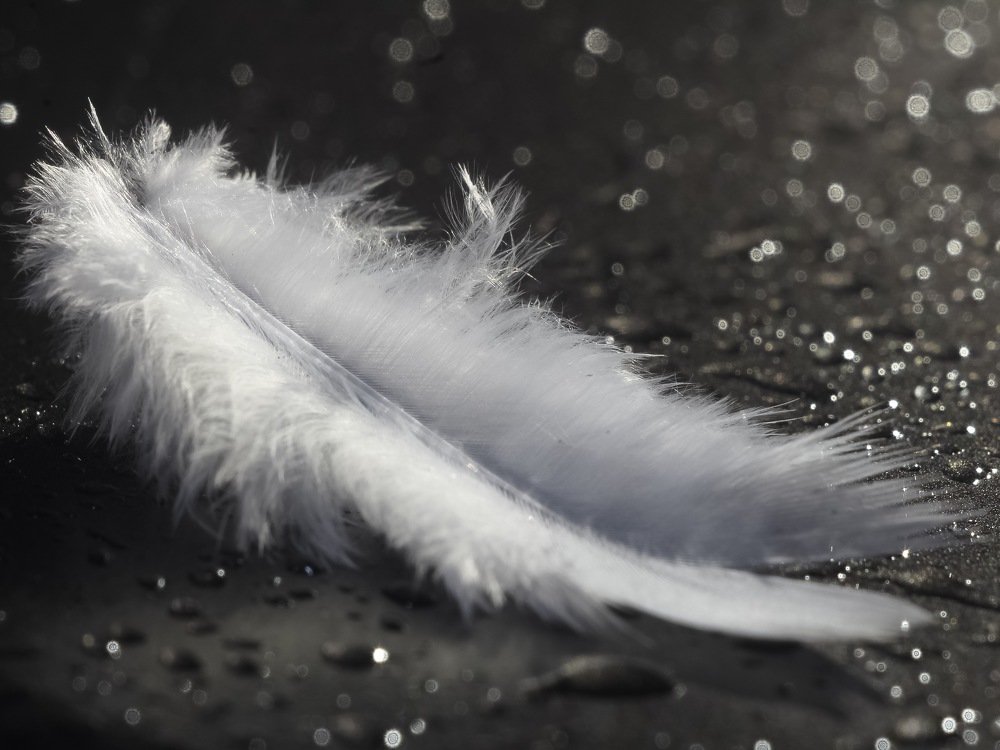 Невесомость