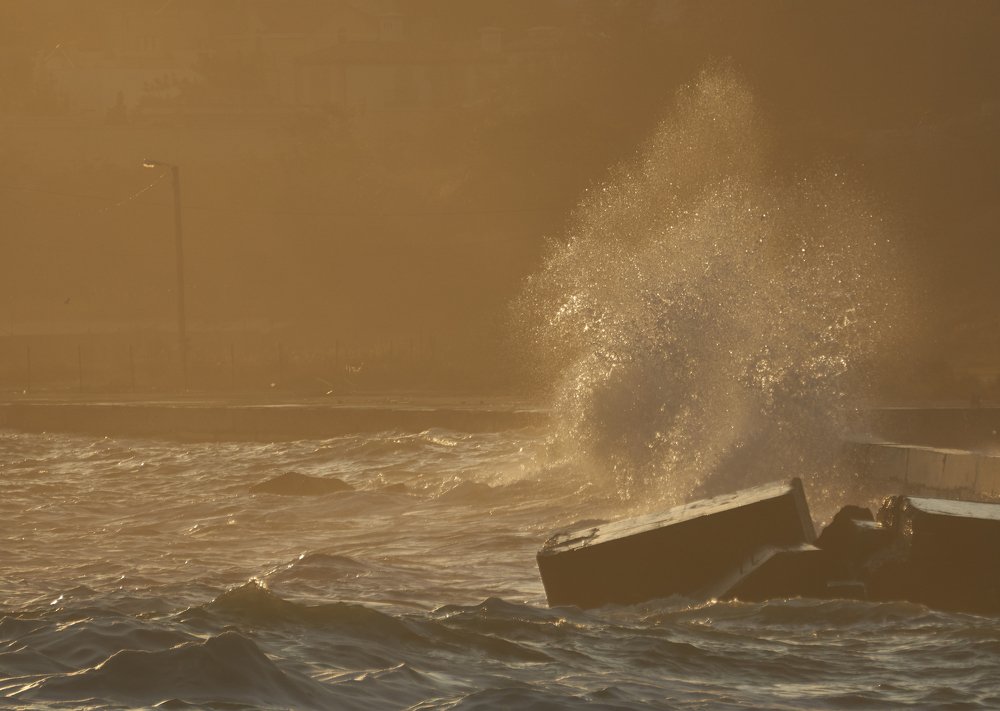 Photograph by Екатерина Ким