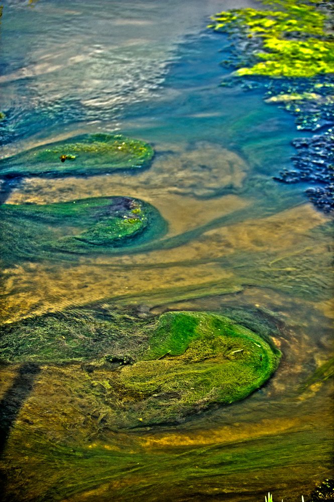 Фотография автора FOTINI KALTSIDOU