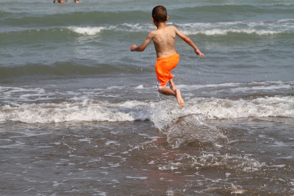 Photograph by hamed moradi