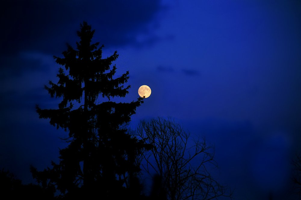 Photograph by Елизавета