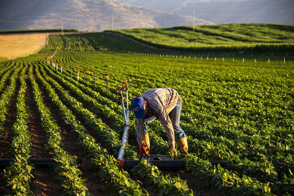 Photograph by Tahsin Gun