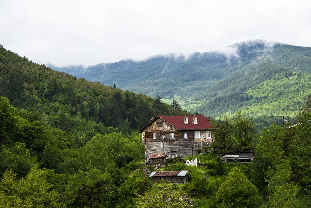 Photograph by Tahsin Gun