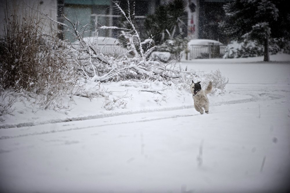 Фотография автора FOTINI KALTSIDOU
