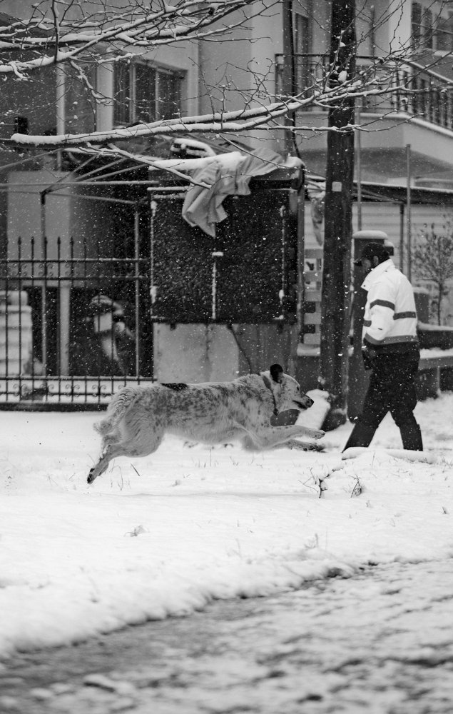 Фотография автора FOTINI KALTSIDOU