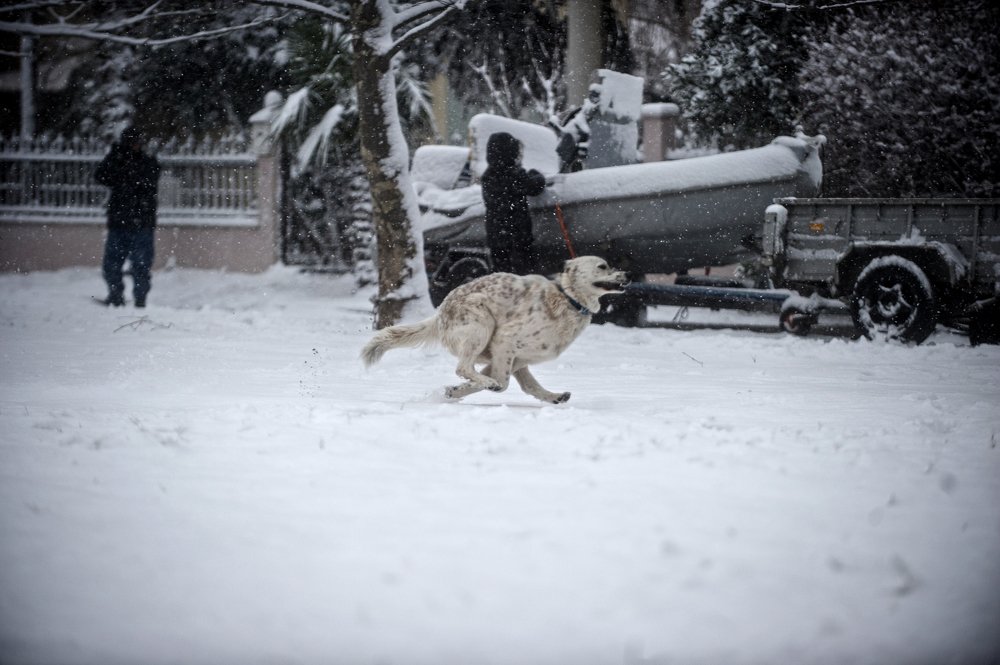 Фотография автора FOTINI KALTSIDOU