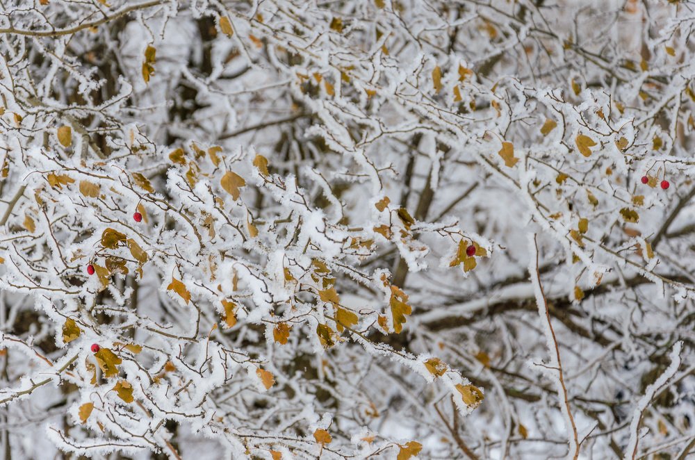 Photograph by Олег Черных