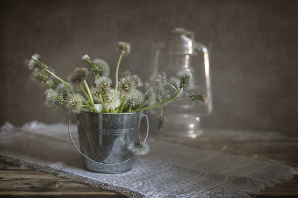 Photograph by Елизавета Шавардина