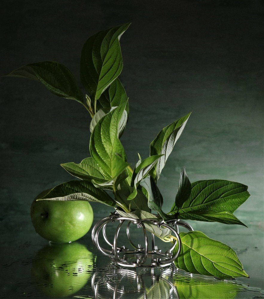 В зелени листьев..