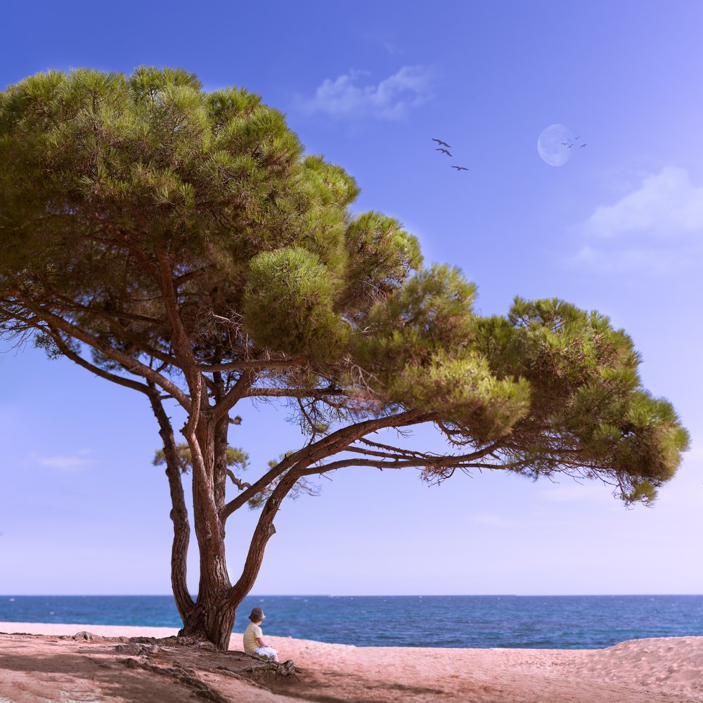 Photograph by Malgorzata Pomietlo