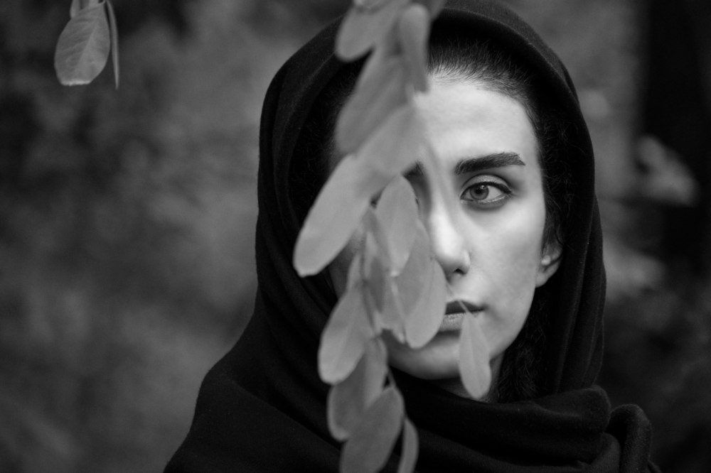 Photograph by MohammadHasan Raadi