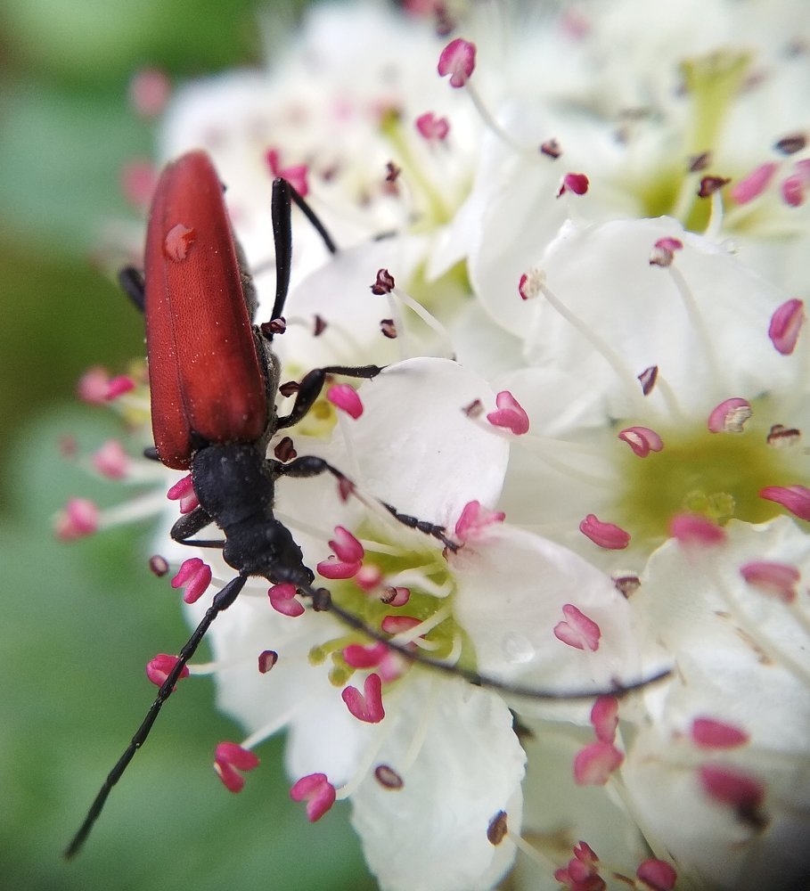 Photograph by Дарья