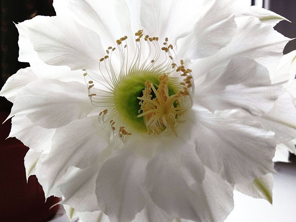 Photograph by Дарья