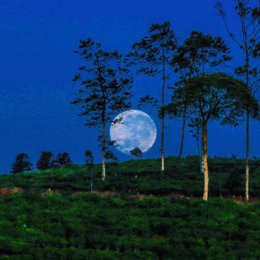 Photograph by Baraya Rocky