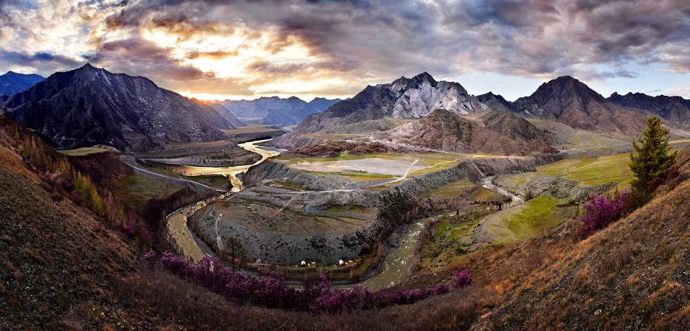 Photograph by Светлана Крат