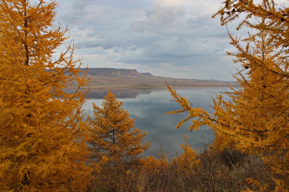 Photograph by Наталья Юрова