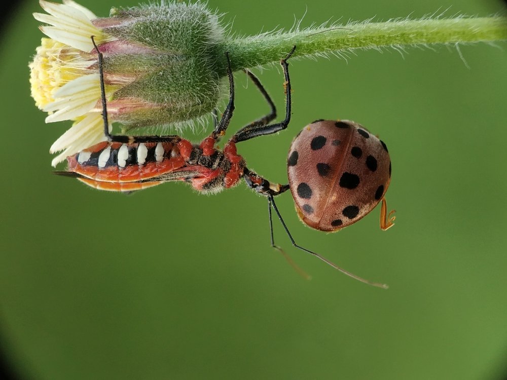 Photograph by Pappu Patra