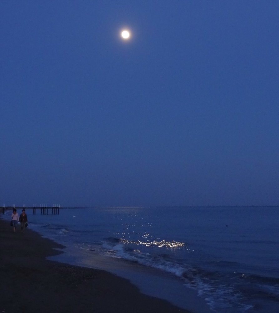 Прогулка при Луне