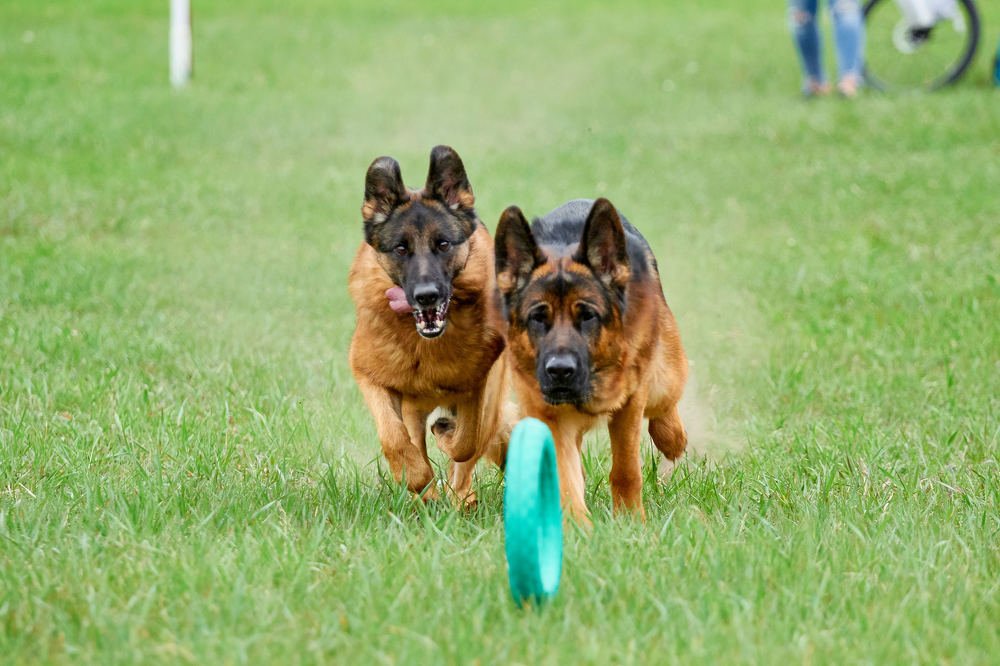 Photograph by Константин Кузнецов