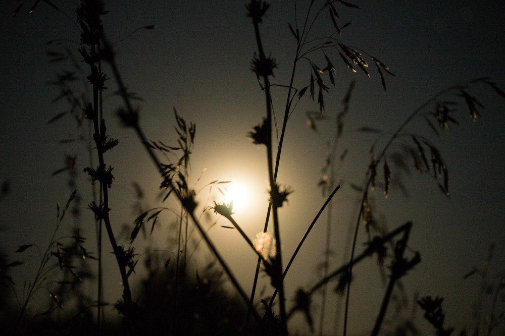 Photograph by mikhail goryachev