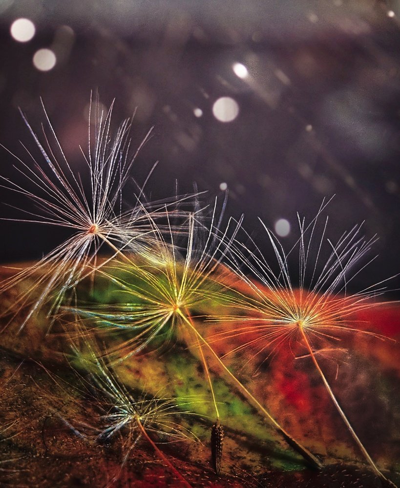 Photograph by Людмила Носова