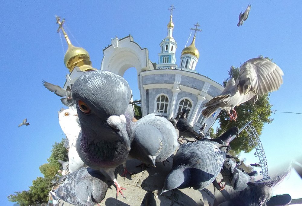 Photograph by Yuriy  Korsuntsev