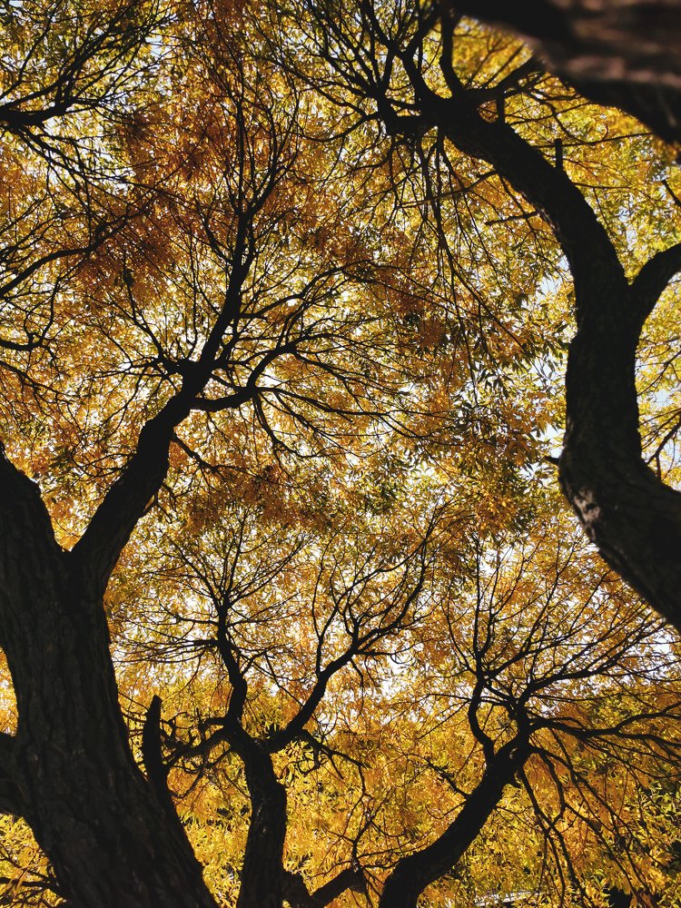 Photograph by Людмила Носова