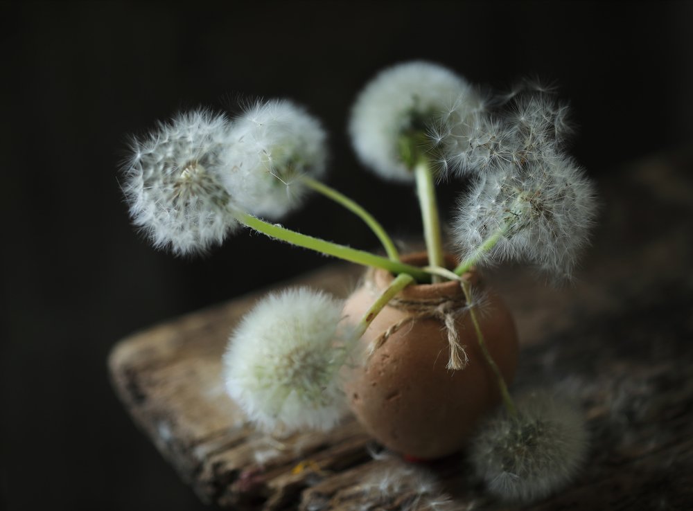 Photograph by Наталья Бочкарева