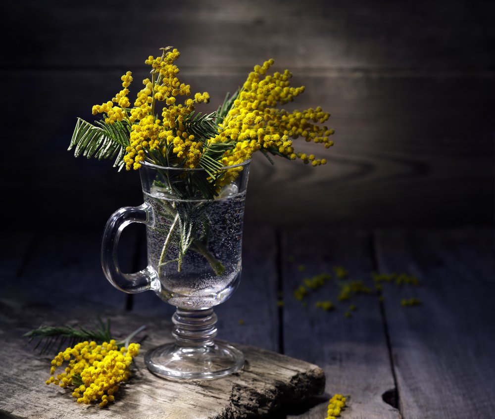 Photograph by Наталья Бочкарева