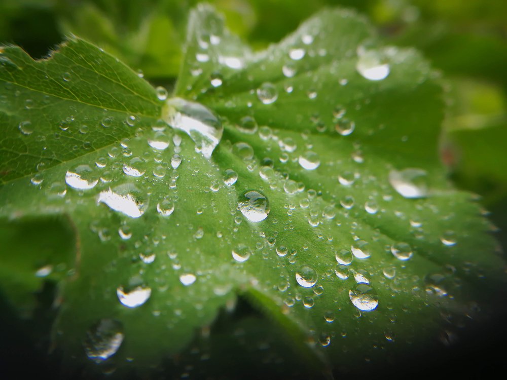 Photograph by Nina Janeckova