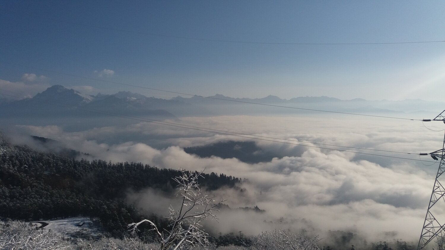 Photo #3720241