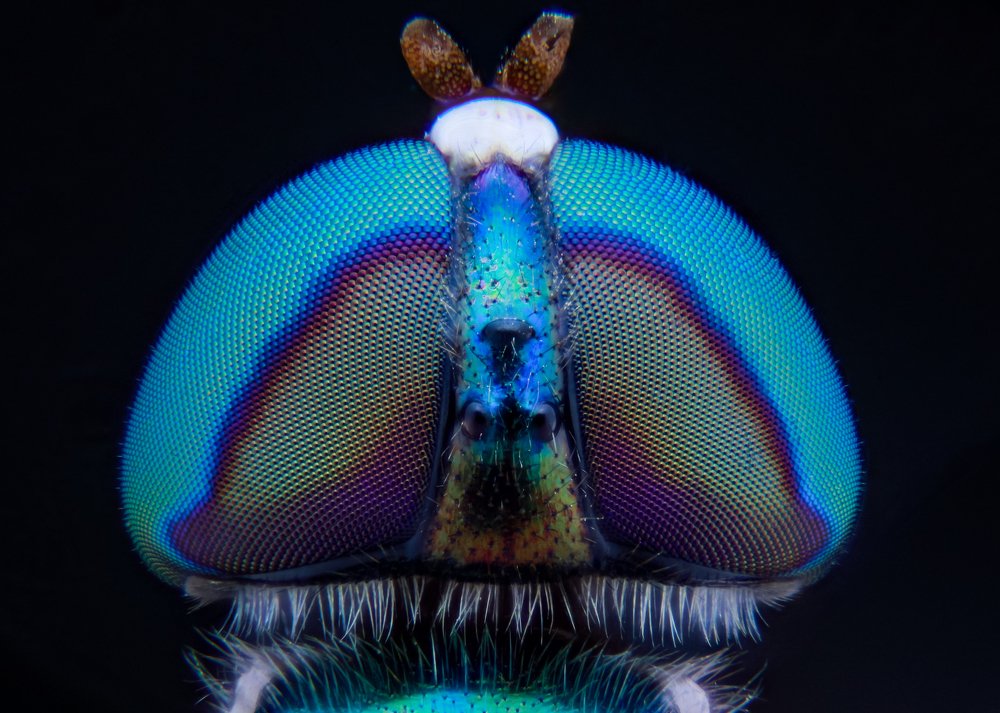 Photograph by Nghiem Khoa