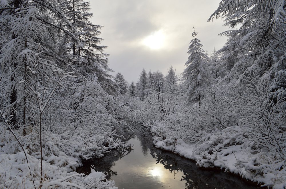 Фотография автора Закурина Маргарита