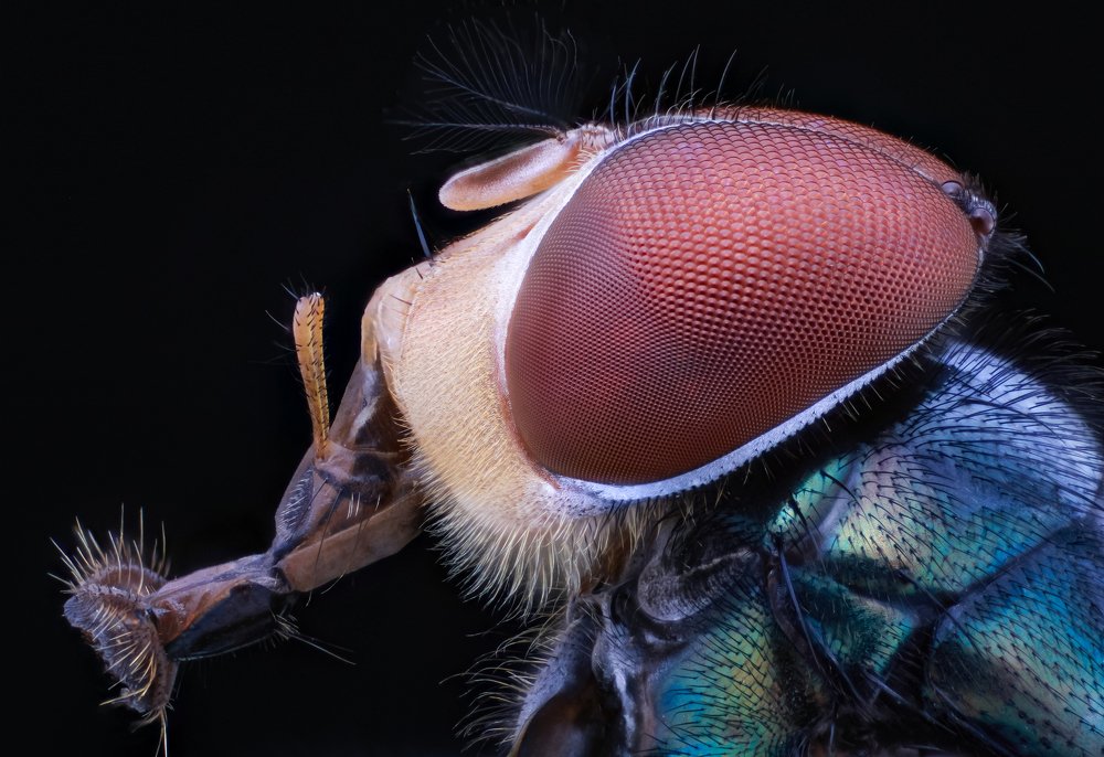 Photograph by Nghiem Khoa