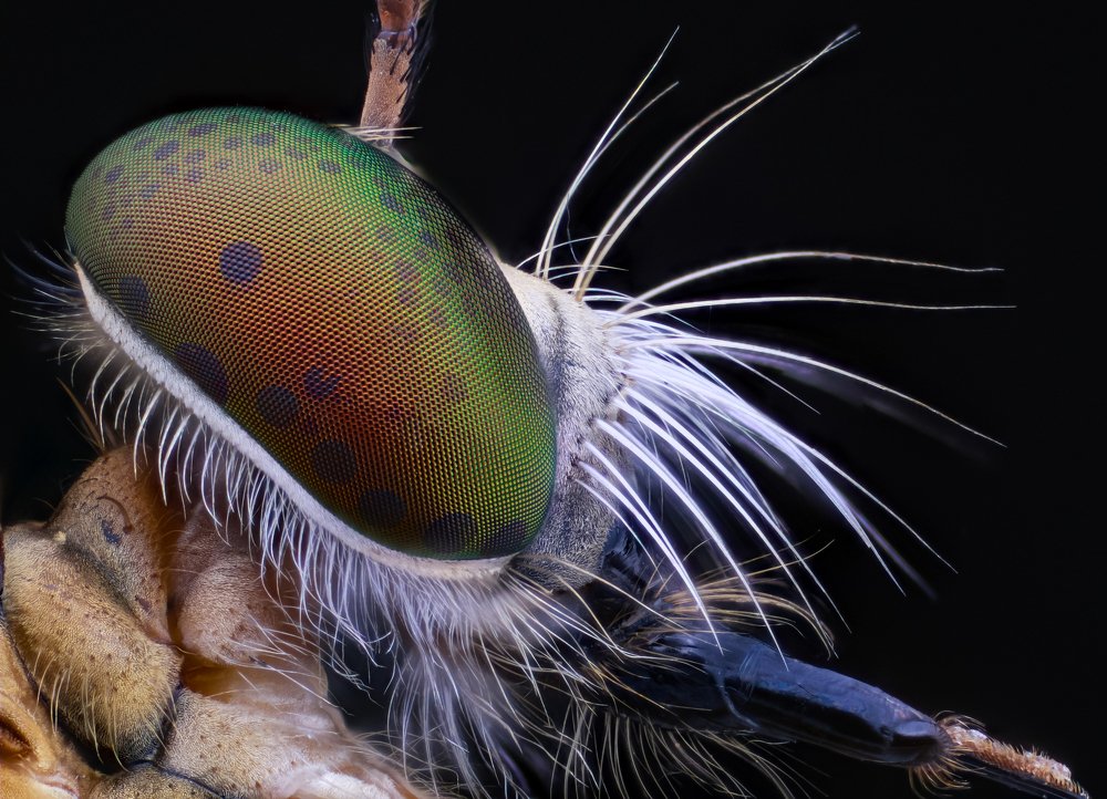 Photograph by Nghiem Khoa