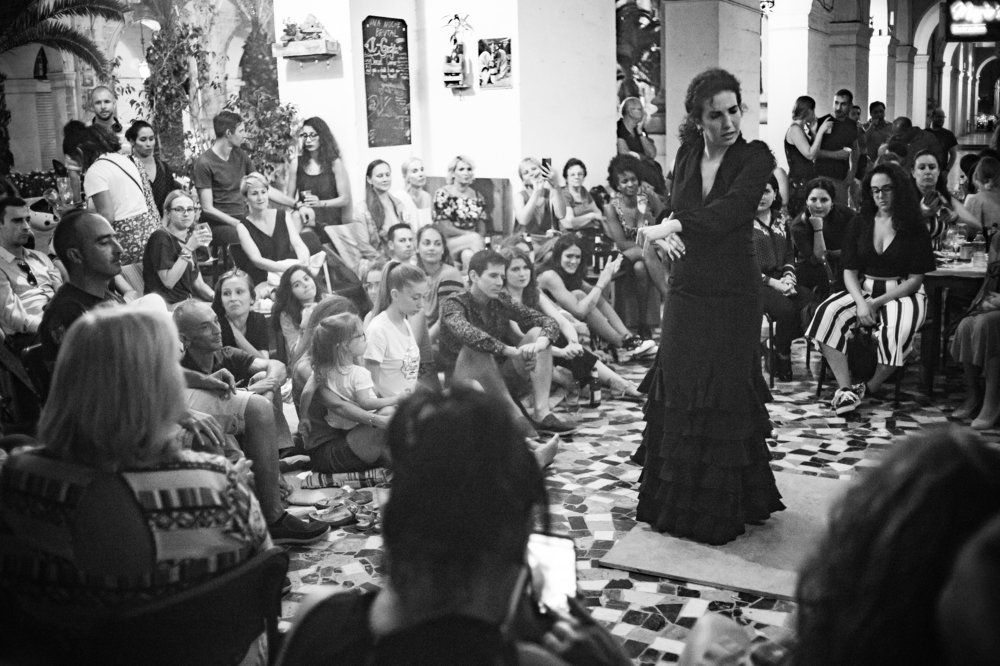 Flamenco Night