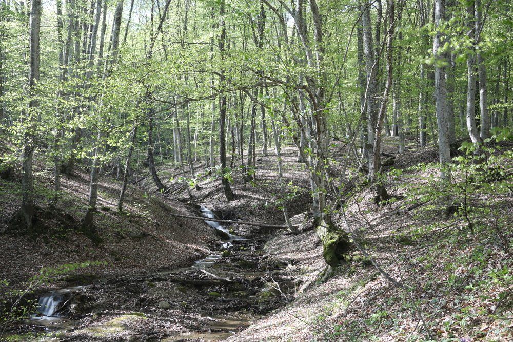 Photograph by света хлевненко